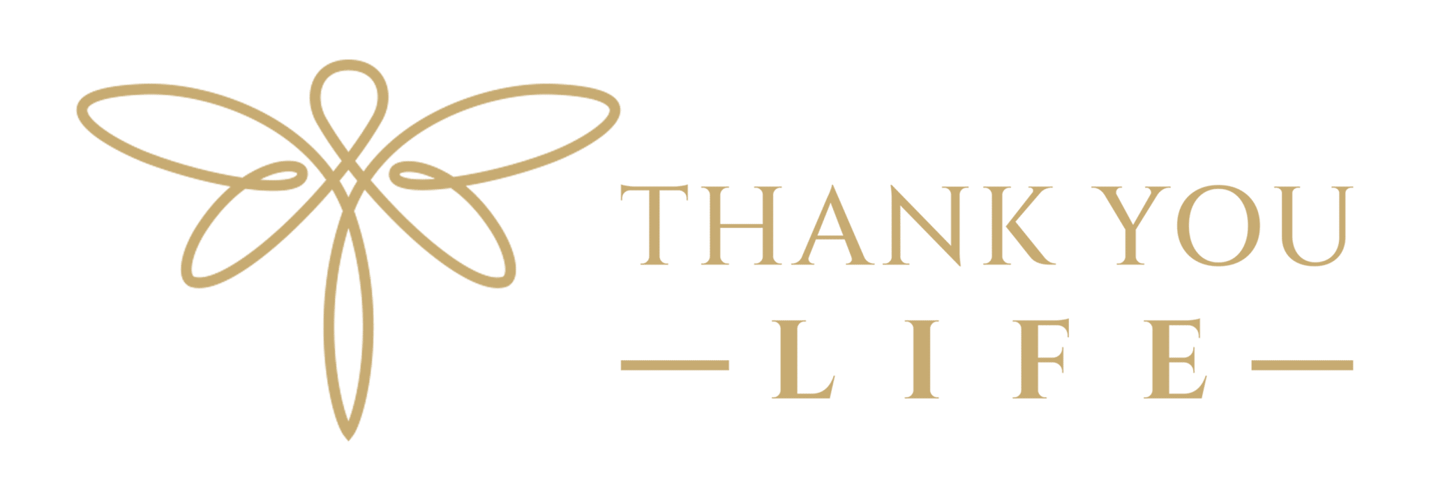 TYL logo horizontal COMPRESSED 2048x688 copy