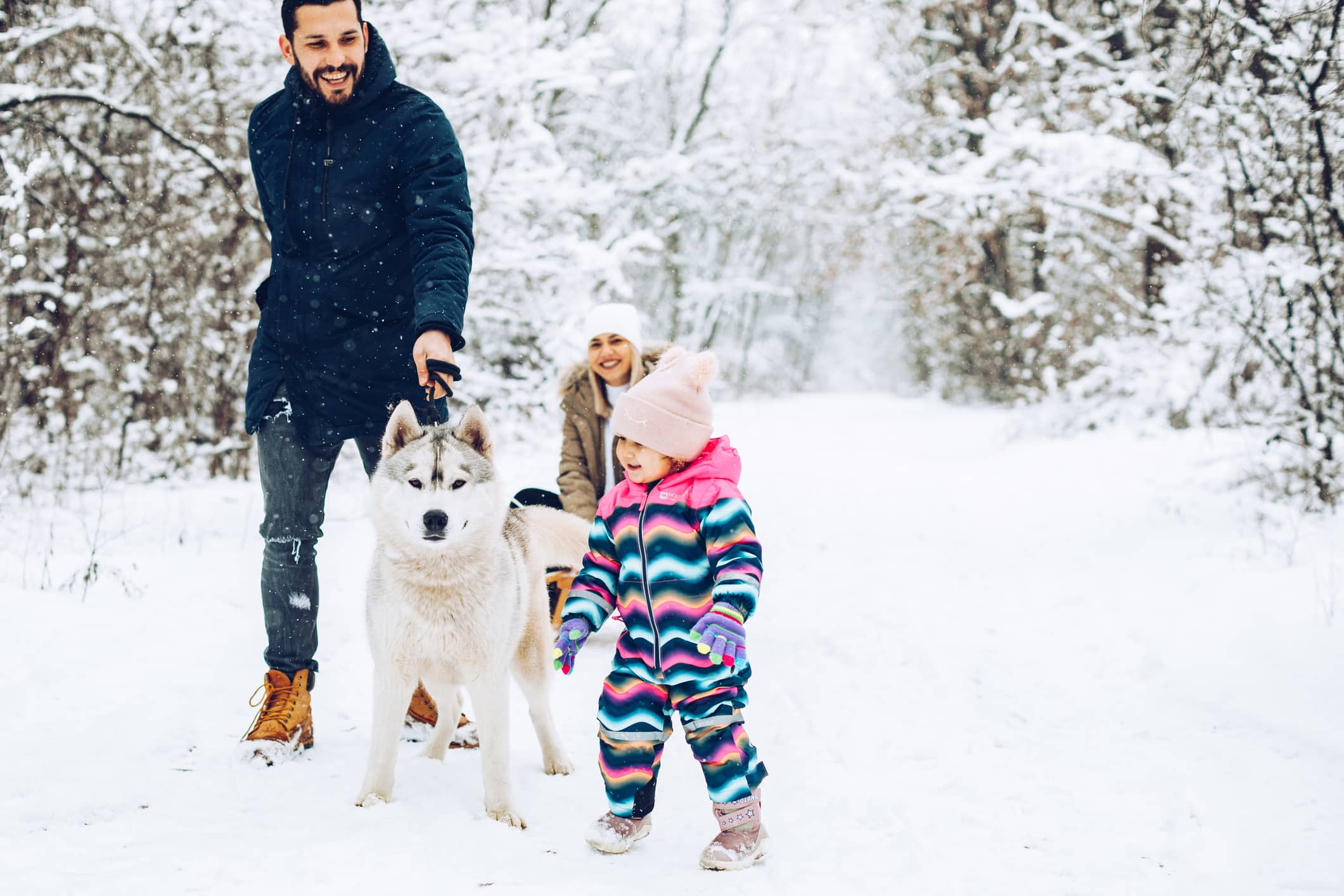 Happy family with child on sled walking in winter outdoors, beautiful snowy day in the nature