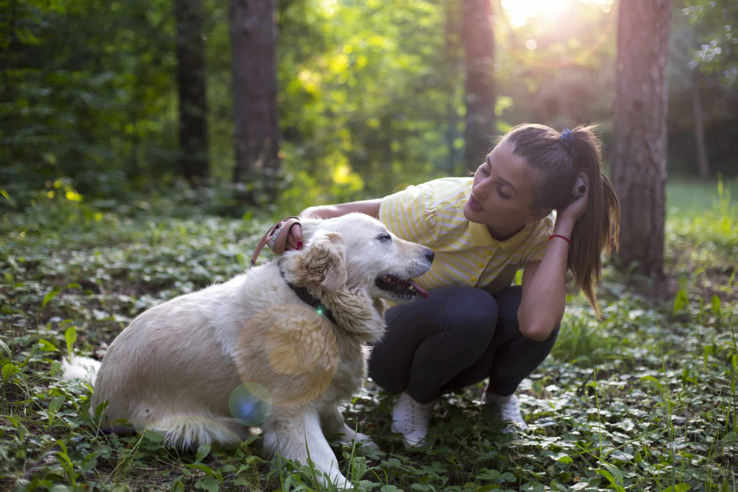 Woman with dog golden retriever outdoor
